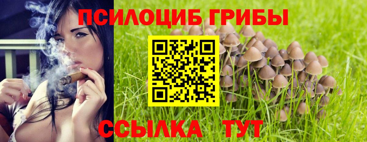 Кокаин  Керчь  Каннабис  МЕТАДОН  МДМА  Меф кристаллы  ГАШ  ГЕРОИН  Вход с VPN 