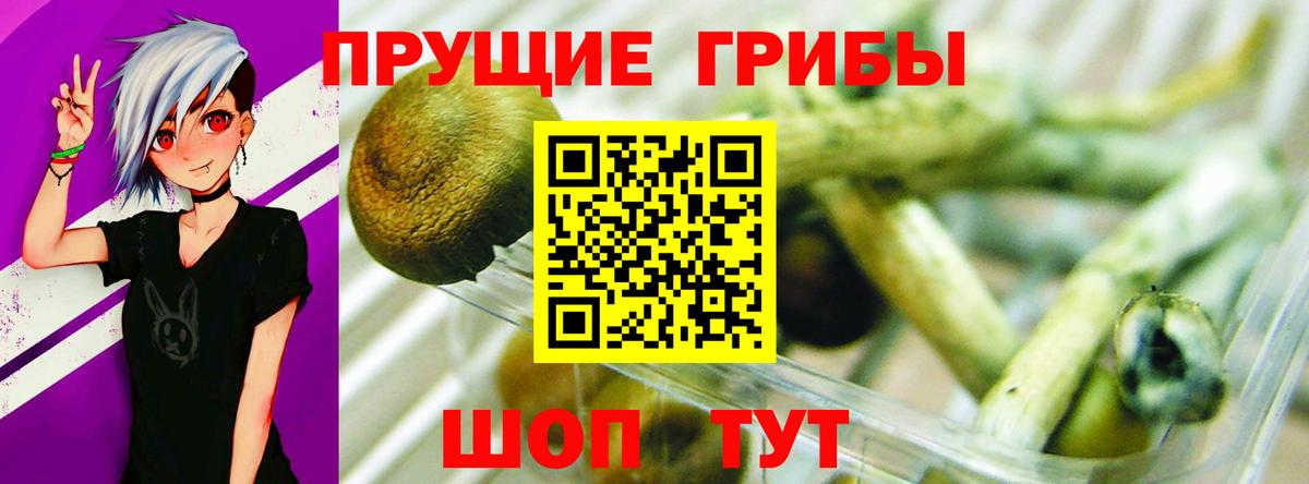 Керчь  наркота  Вход с VPN  Галлюциногенные грибы мицелий  Псилоцибиновые грибы GOLDEN TEACHER 