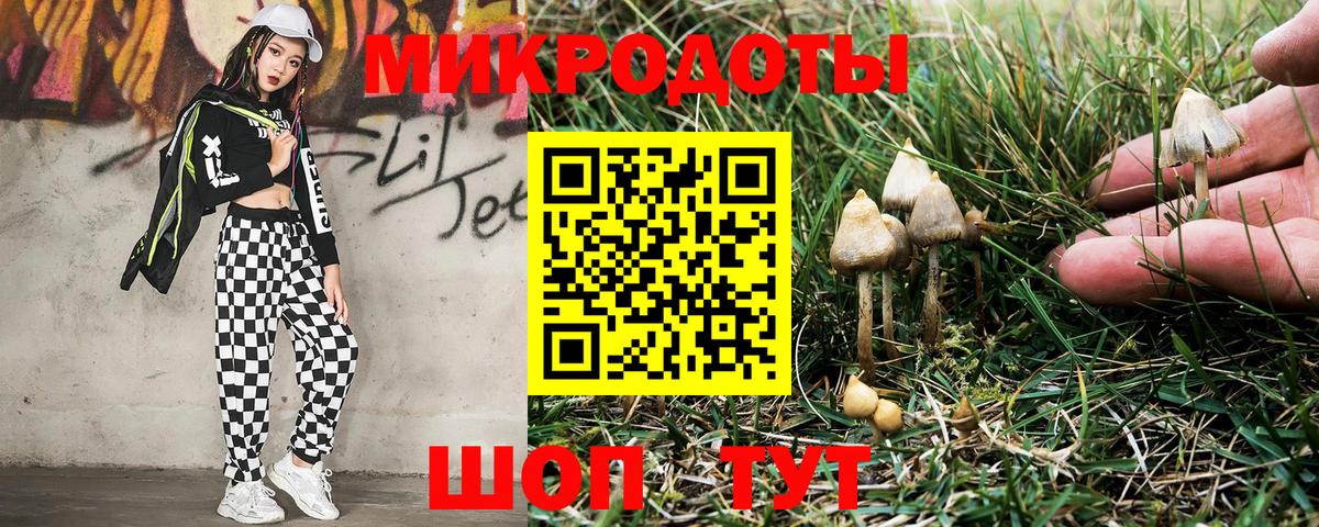 Галлюциногенные грибы прущие грибы Керчь
